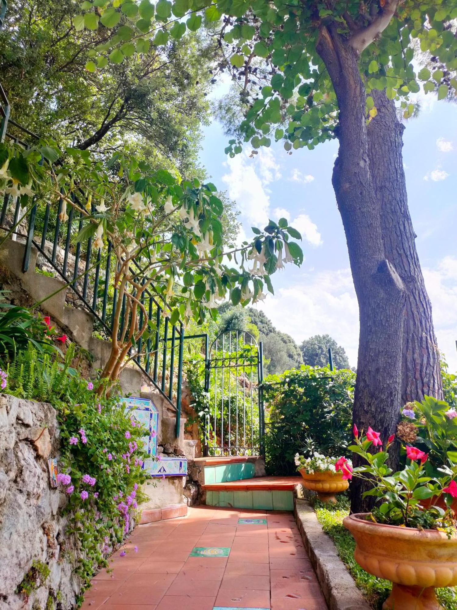 Casa Vacanze Bouganvillea Cetara Exterior foto